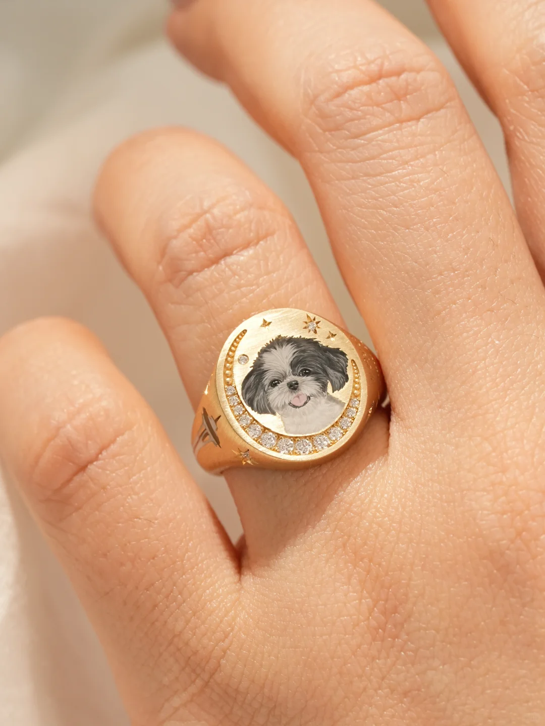 Custom Pet Portrait Ring 260617.9 - view 2