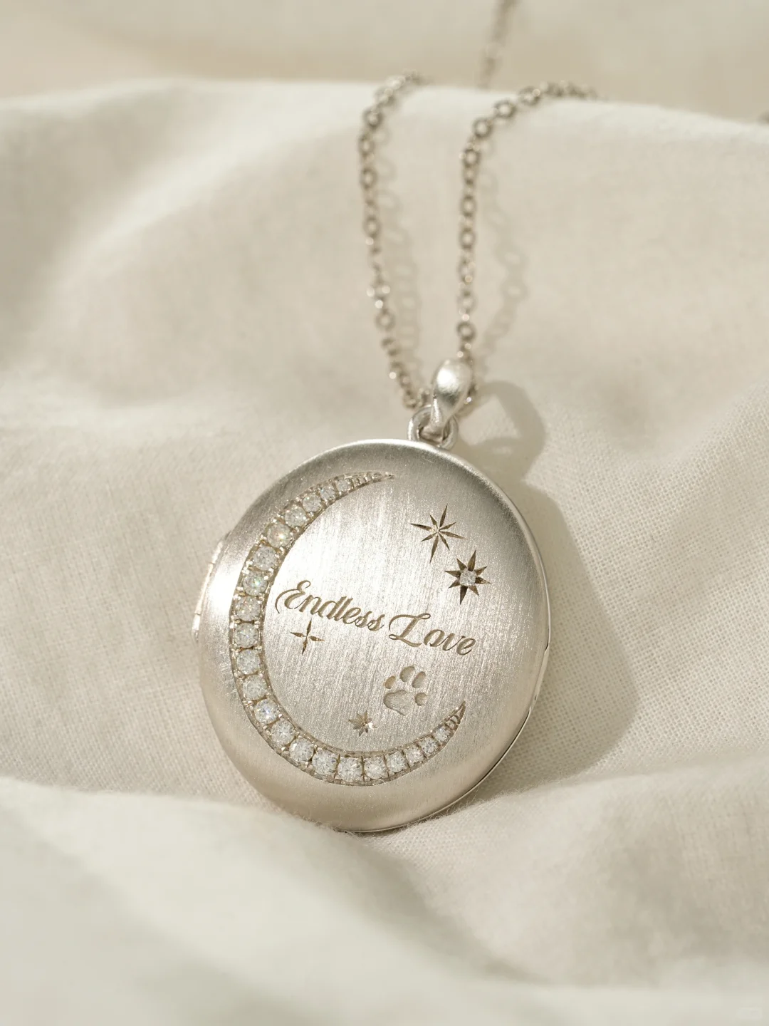 Blue Daisy Pet Portrait Locket image 3
